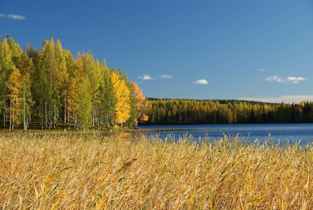 Ik Hotel & Camping Keuruu Esterno foto